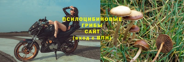 экстази Белокуриха